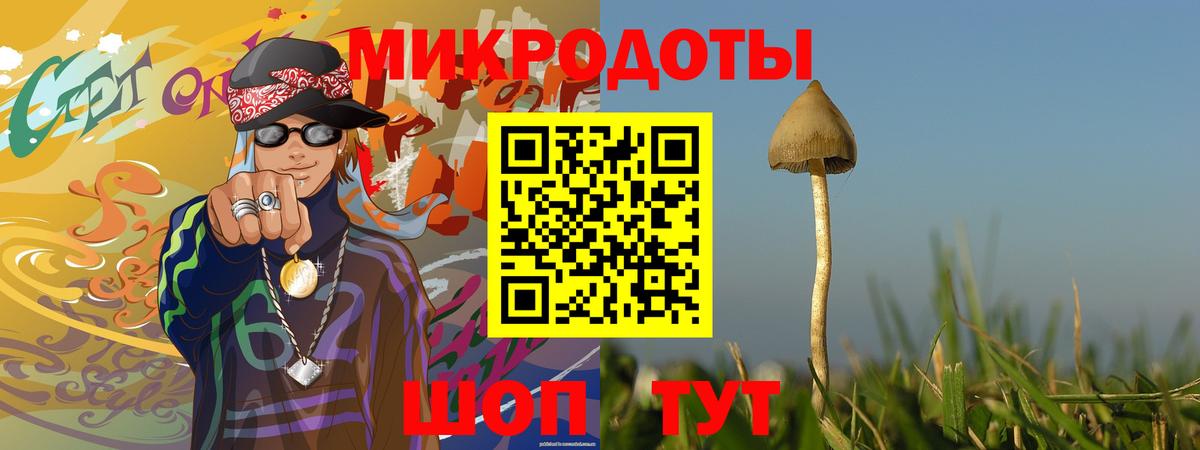 Галлюциногенные грибы мухоморы  Вход с VPN  Костомукша 